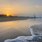 Surfer's Paradise *