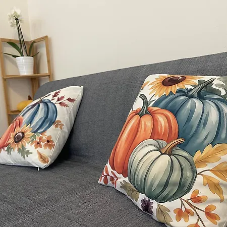 Surfer's Paradise Rimini