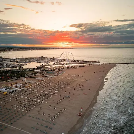 Surfer's Paradise * רימיני