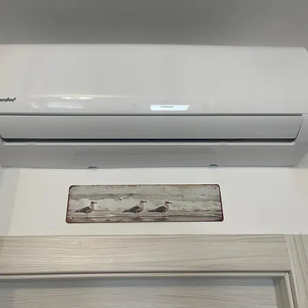 Surfer's Paradise * Rimini