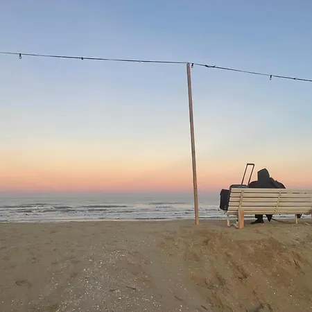 Surfer's Paradise * Rimini