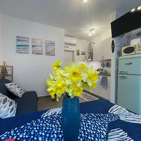 Surfer's Paradise Appartement *