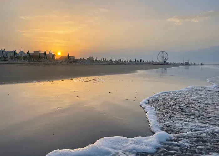 Surfer's Paradise *