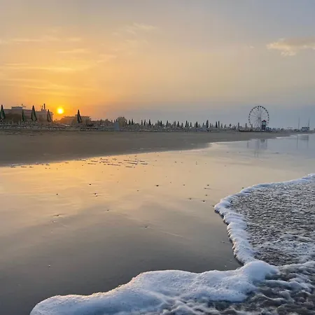 Surfer's Paradise *